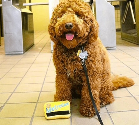 MTA NYC METROCARD DOG TOY