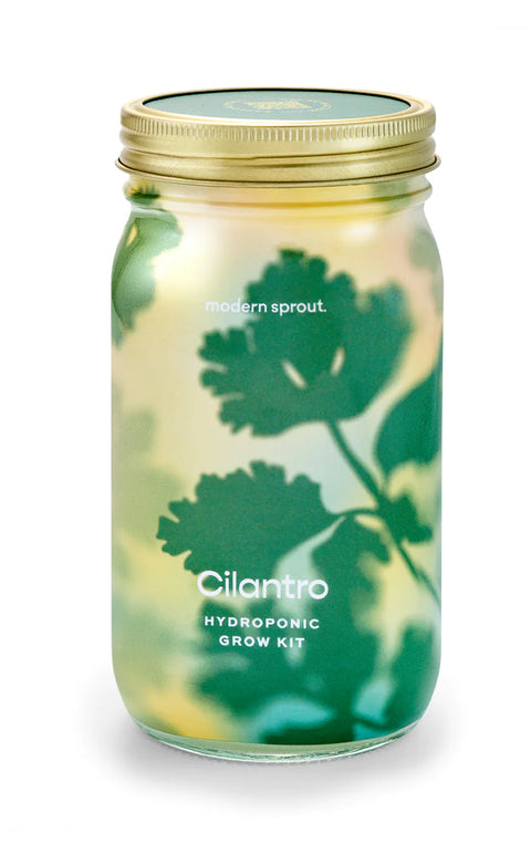 Modern Sprout Herb Garden Jar-Cilantro