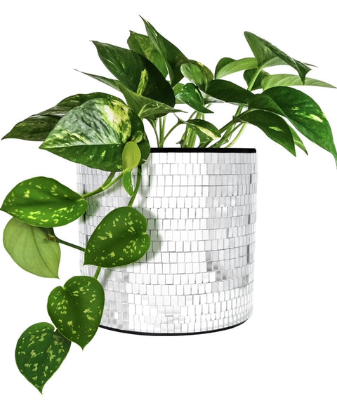 Disco Tabletop Planter