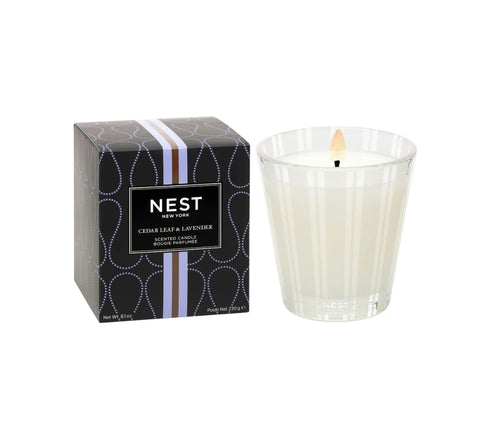 Cedar Leaf & Lavender Candle 8.1 oz