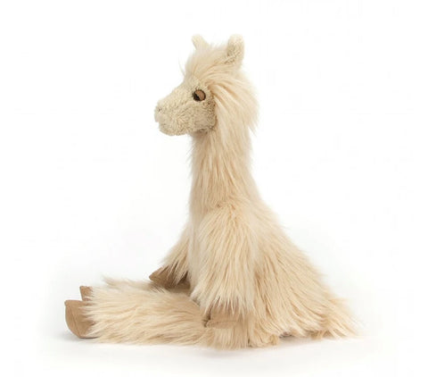 Luis Llama
