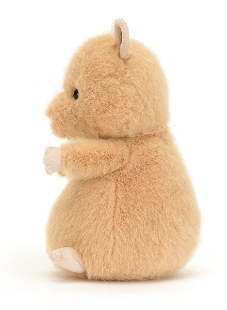 Hank Hamster