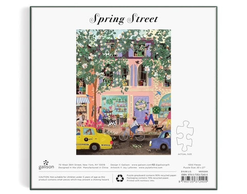 Spring Street 1000 Pc. Puzzle - Chronicle