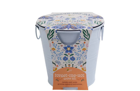 Painted Flower Grow Pail - Forget-Me-Not