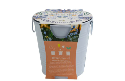 Painted Flower Grow Pail - Forget-Me-Not