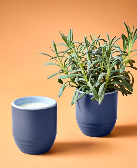 Garden Vibes Candle/Planter - Violet Hour/Lavender