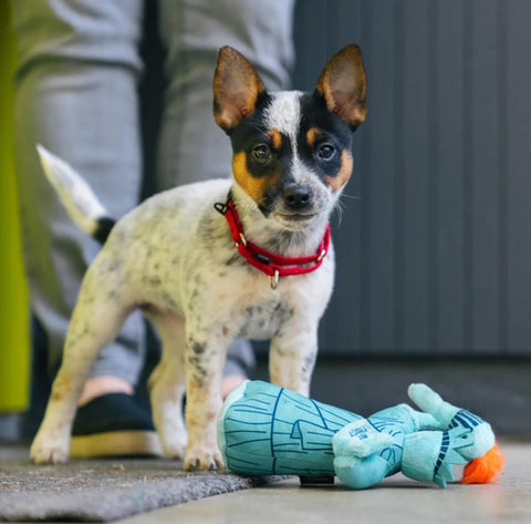 NYC Lady Liberty Dog Toy - Large