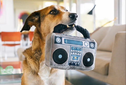 80s Classic Boop Box Dog Toy
