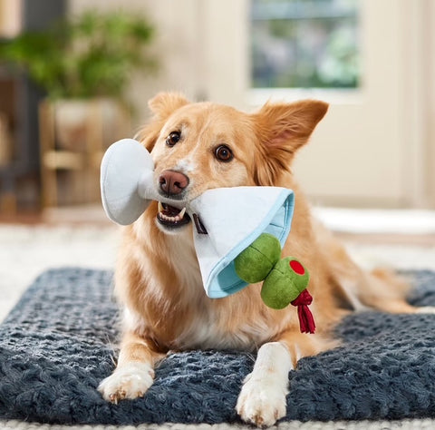 Pawtini Dog Toy