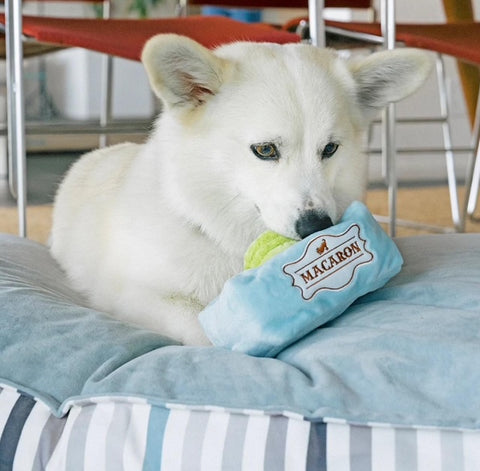 Mutt-A-Rons Dog Toy