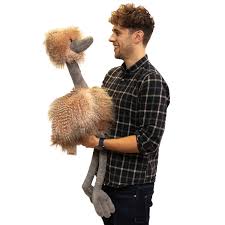 Odette Ostrich