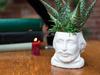 Shakespeare Planter