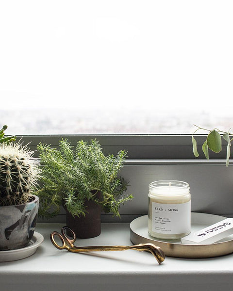 "Fern & Moss" Minimalist Candle