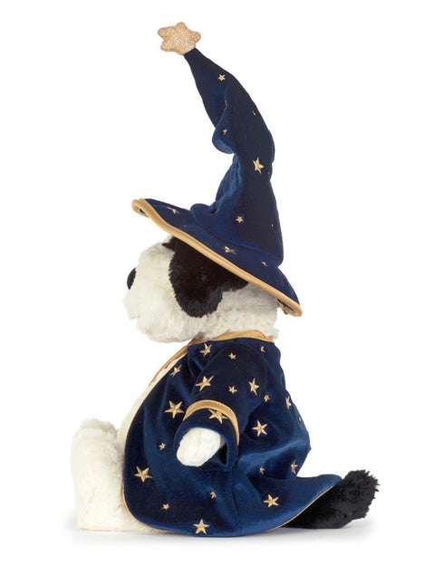 Rufferty Puppy Wizard Outfit