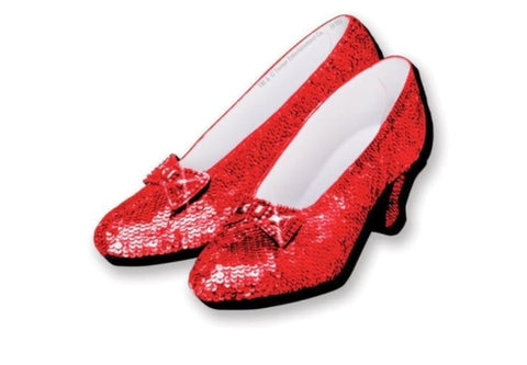 Wizard Of Oz Shoes Funky Chunky Magnet