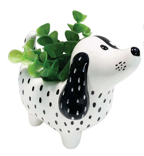 Spotted Dog Planter