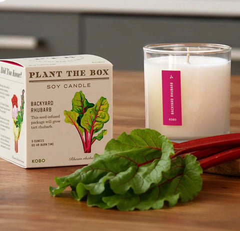 Backyard Rhubarb Plant The Box Candle