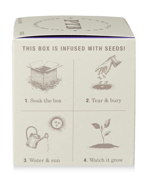 Heath Lavender Plant The Box Candle