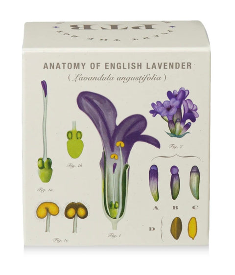 Heath Lavender Plant The Box Candle