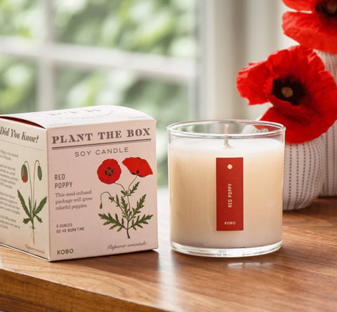 Red Poppy Plant The Box Candle