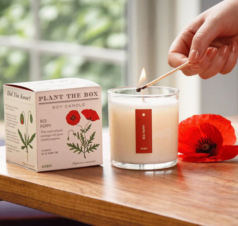 Red Poppy Plant The Box Candle