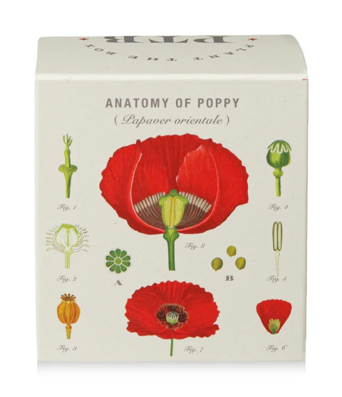 Red Poppy Plant The Box Candle