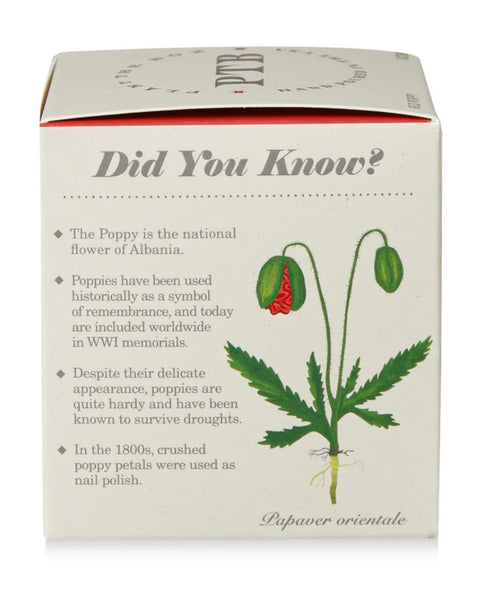 Red Poppy Plant The Box Candle