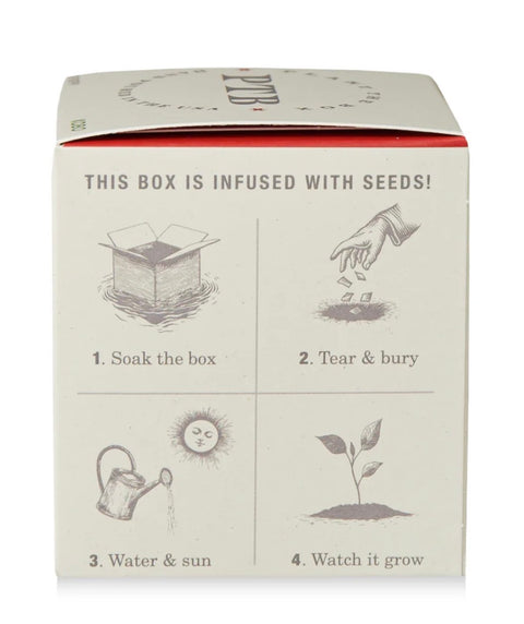 Red Poppy Plant The Box Candle