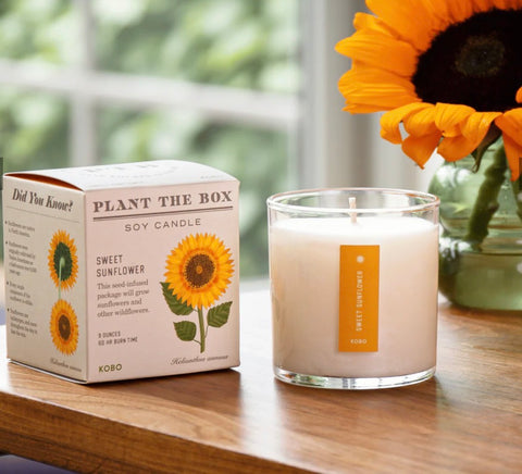 Sunflower Plant The Box Candle