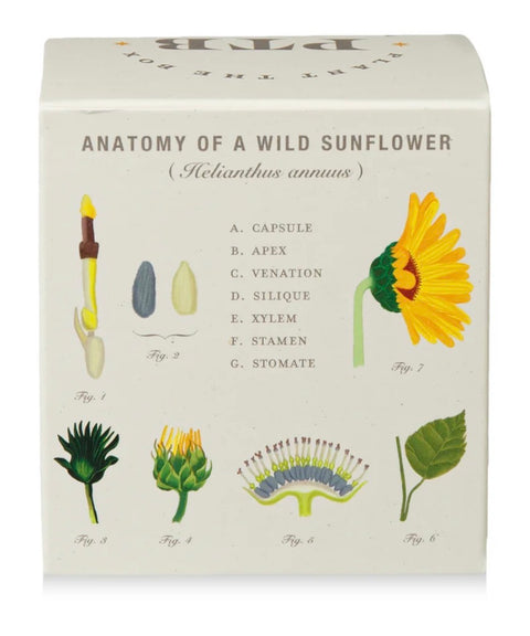Sunflower Plant The Box Candle
