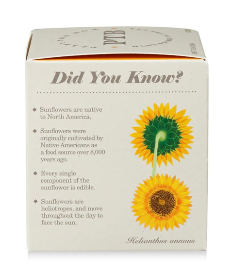 Sunflower Plant The Box Candle