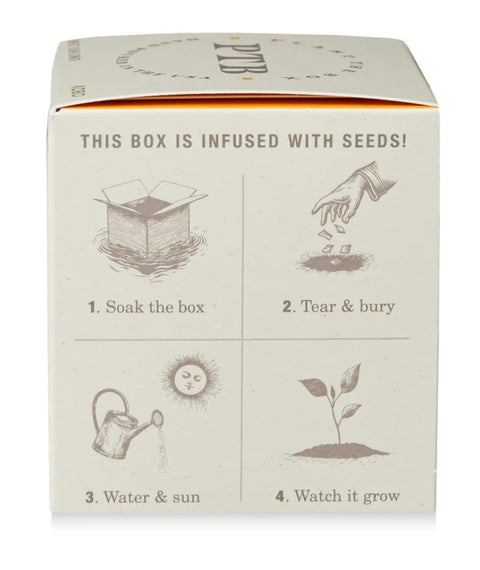 Sunflower Plant The Box Candle