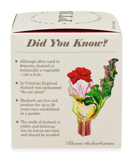 Backyard Rhubarb Plant The Box Candle