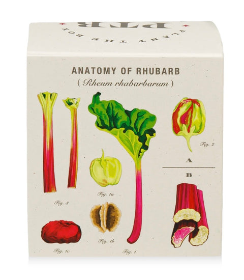 Backyard Rhubarb Plant The Box Candle