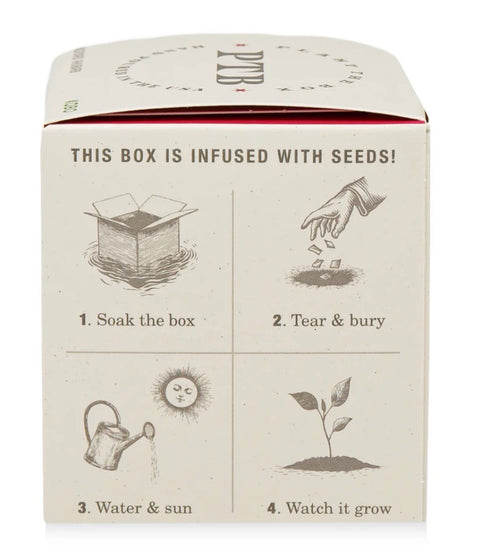 Backyard Rhubarb Plant The Box Candle
