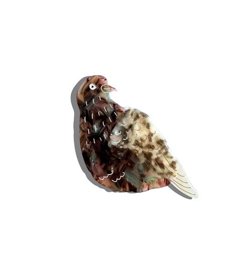 Hand Painted Pigeon Claw Hair Clip