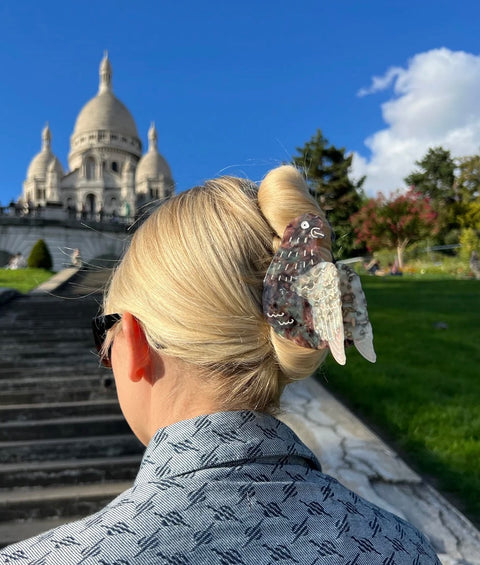 Hand Painted Pigeon Claw Hair Clip