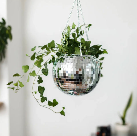 Disco Hanging Planter