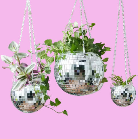 Disco Hanging Planter