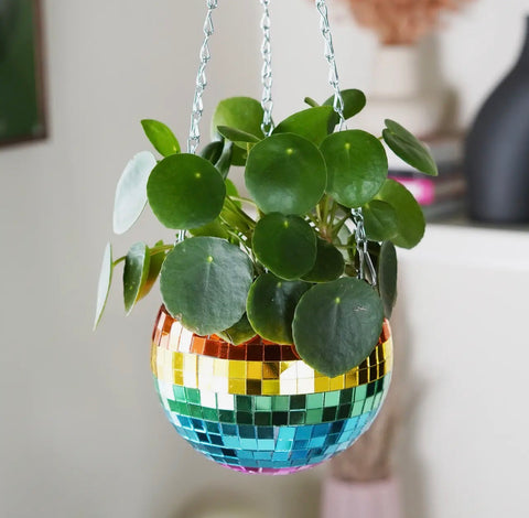 Disco Hanging Planter Rainbow