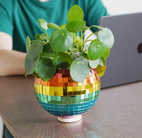 Disco Hanging Planter Rainbow