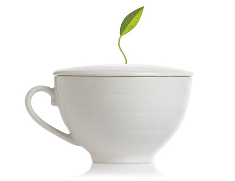 Tea Forte "Cafe Cup"