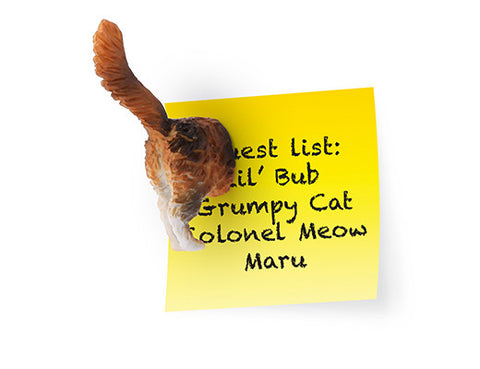 Cat Butt Magnet Set